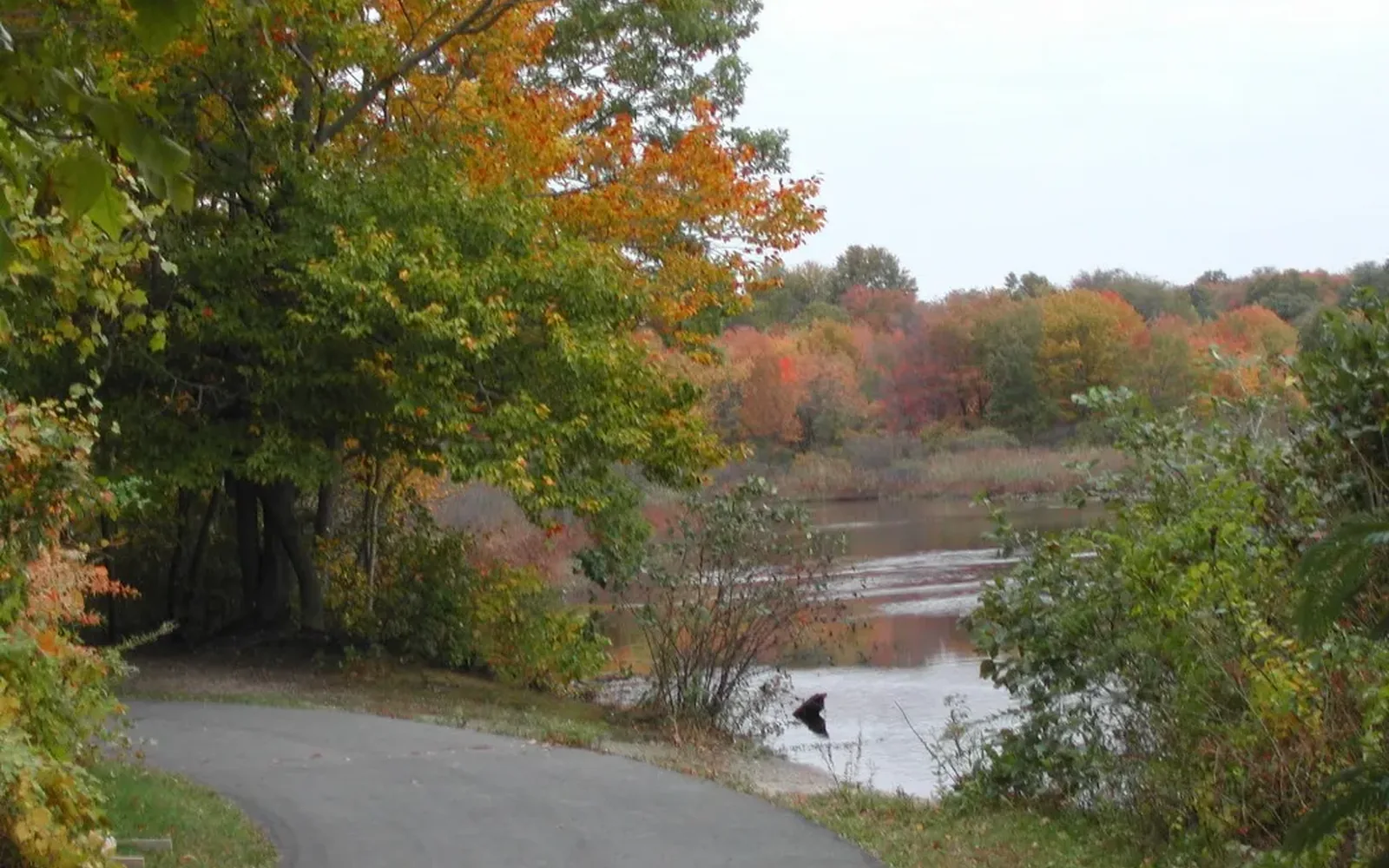 Lawrence Brook Riverwalk in Milltown, New Jersey