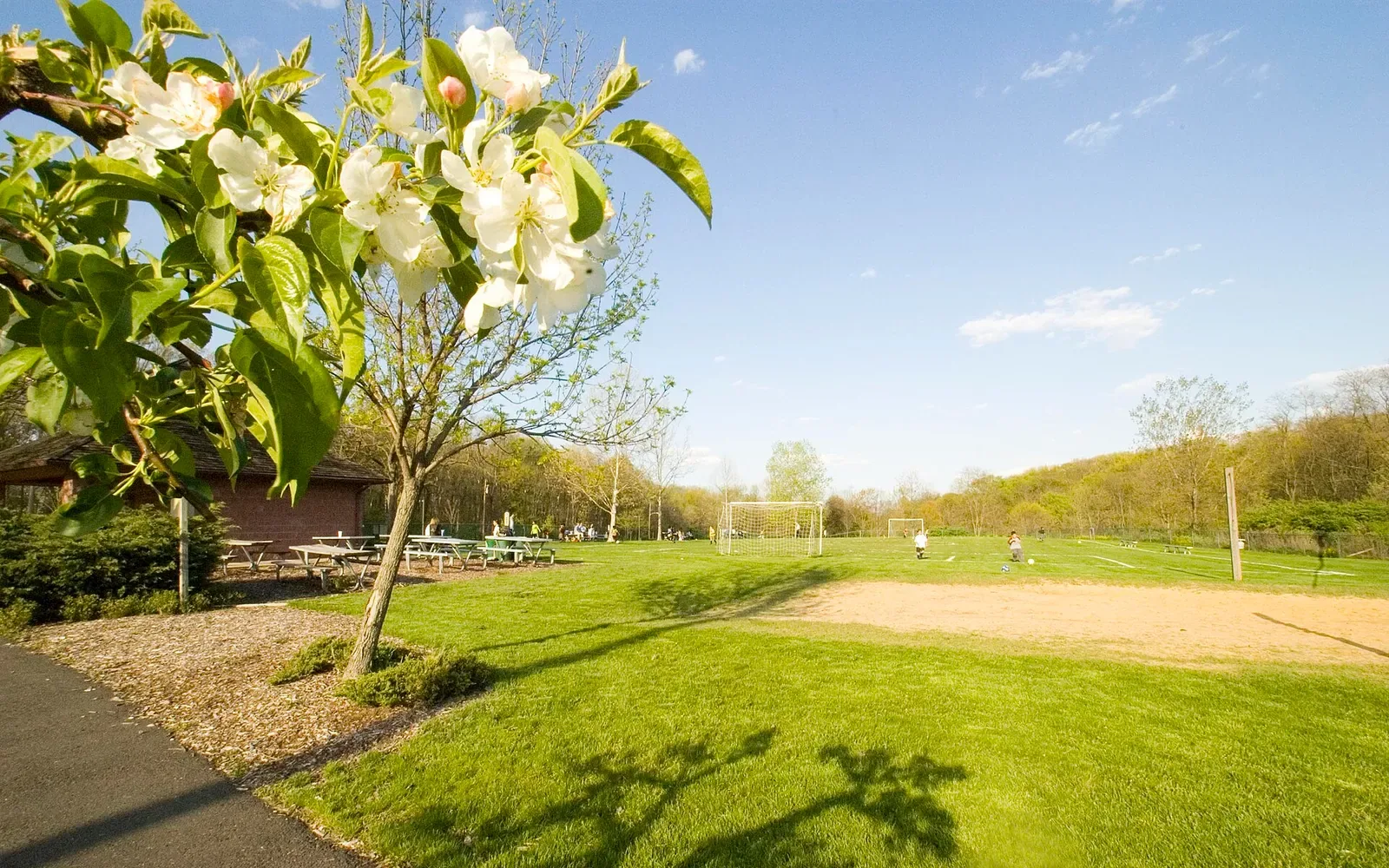 Central Park Whippany in Hanover, New Jersey
