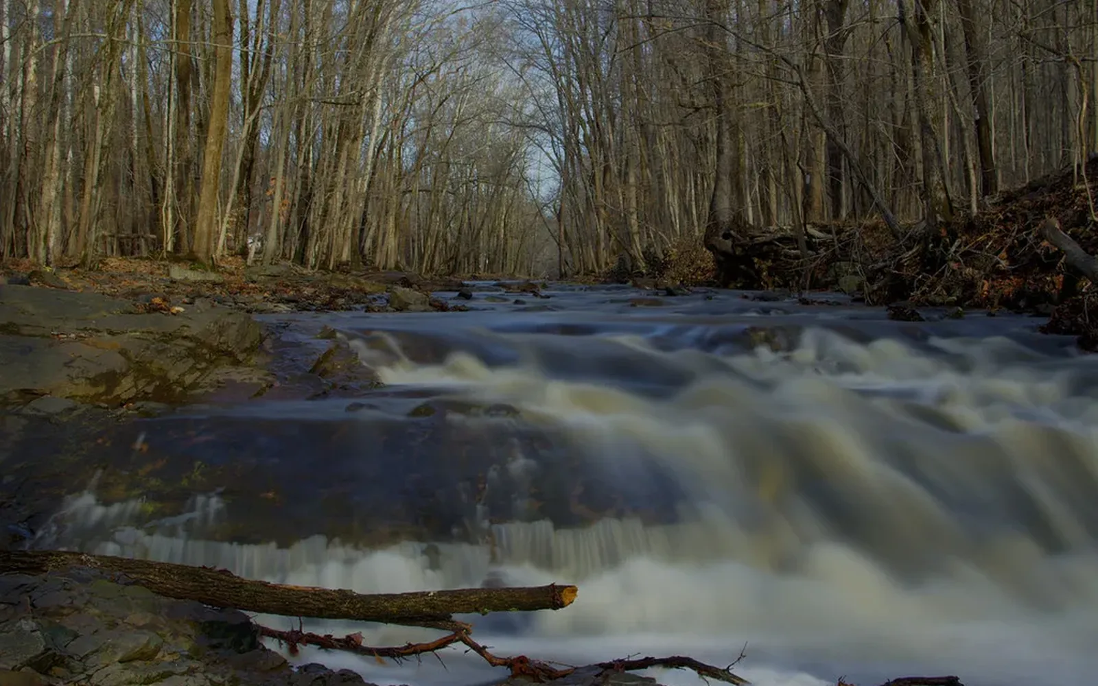 Rock Brook in Montgomery, New Jersey
