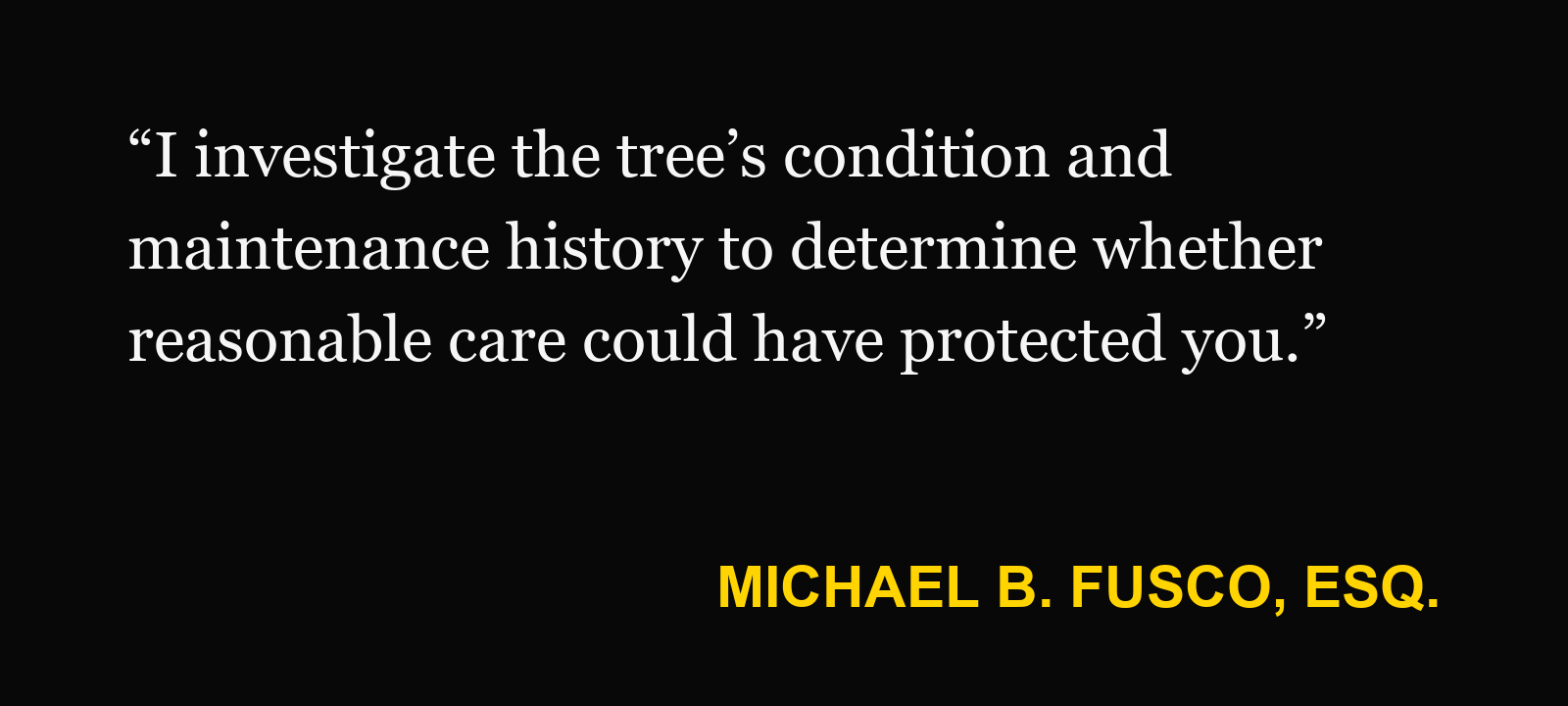 Michael B. Fusco, Esq., on fallen tree or branch: “I investigate the tree’s condition and maintenance history to determine whether reasonable care could have protected you.”