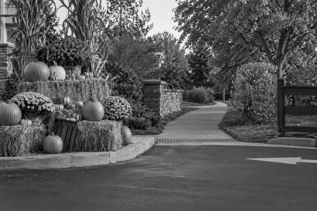 Decorative displays beside a driveway and pedestrian route