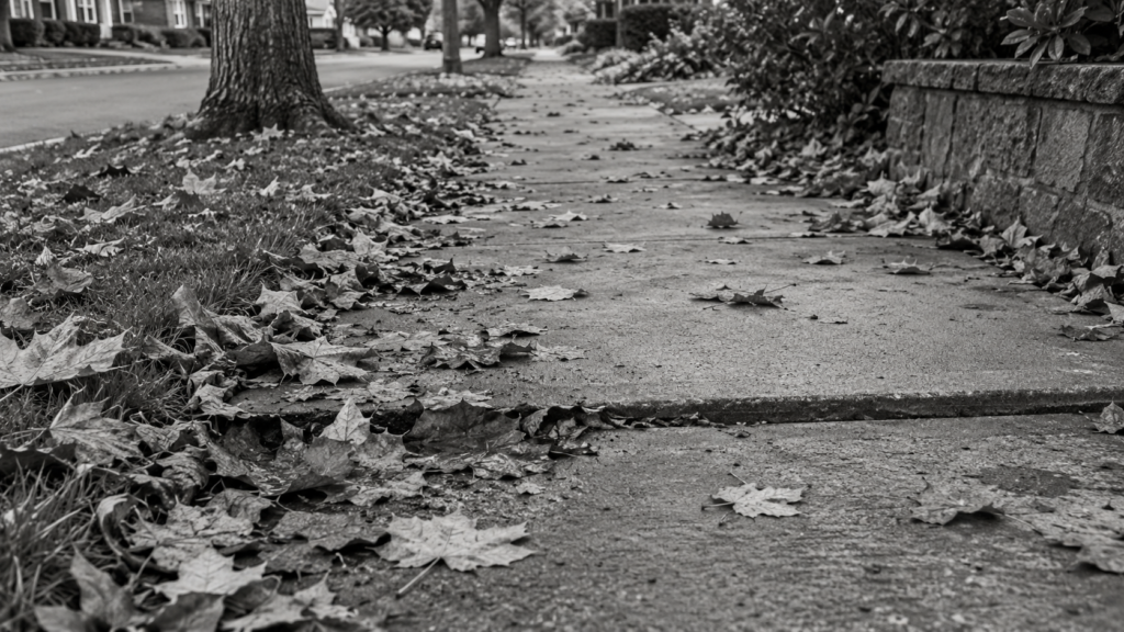 Leaf-covered walkways with fallen leaves beside an uneven sidewalk seam
