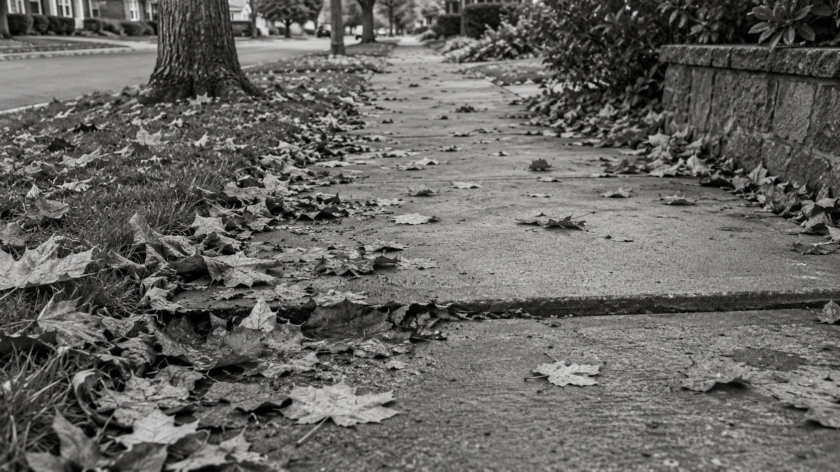 Leaf-covered walkway with an uneven sidewalk seam