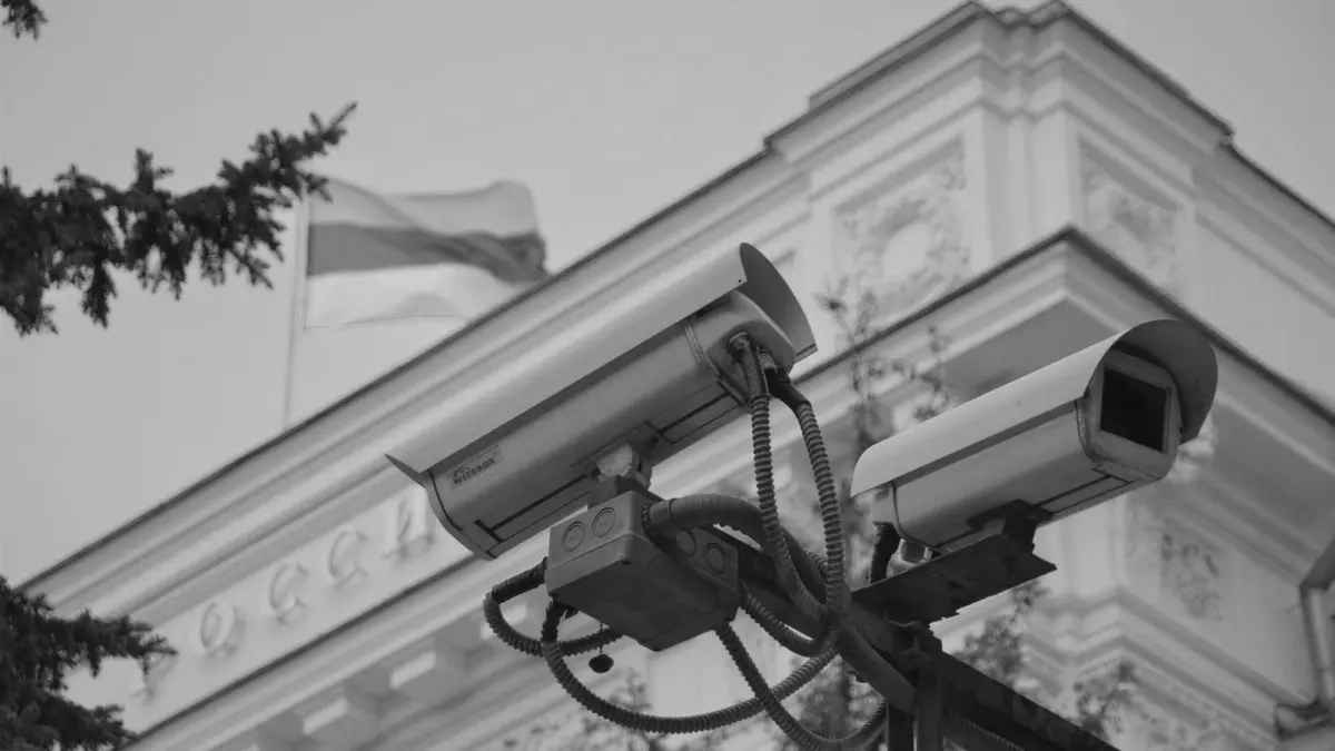 Grayscale stock photograph illustrating store or doorbell video disappear
